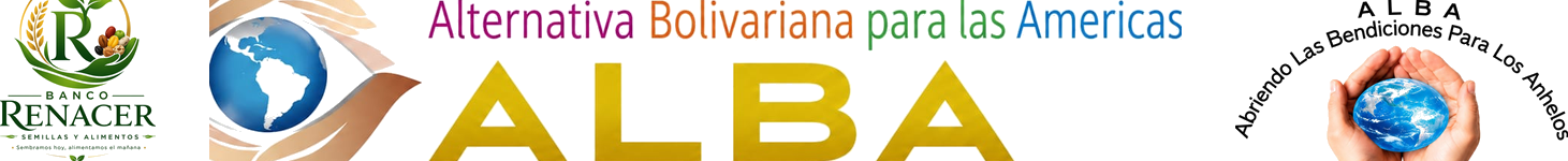 bloque 6 financiacion color